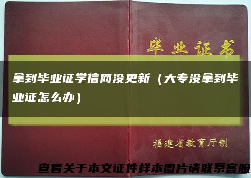 拿到毕业证学信网没更新（大专没拿到毕业证怎么办）缩略图