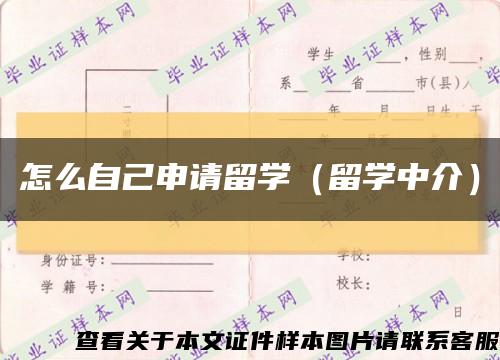 怎么自己申请留学（留学中介）缩略图