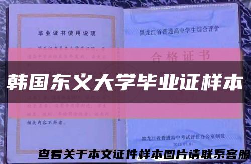 韩国东义大学毕业证样本缩略图