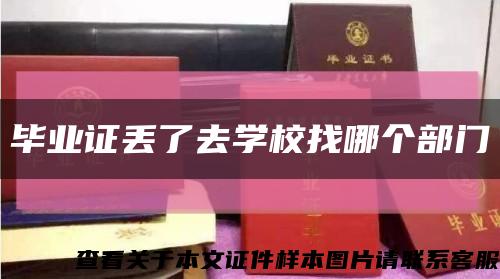 毕业证丢了去学校找哪个部门缩略图