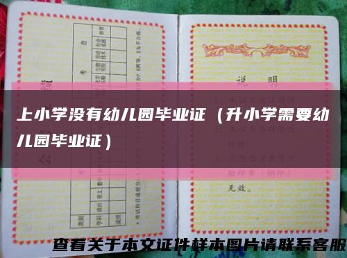 上小学没有幼儿园毕业证（升小学需要幼儿园毕业证）缩略图