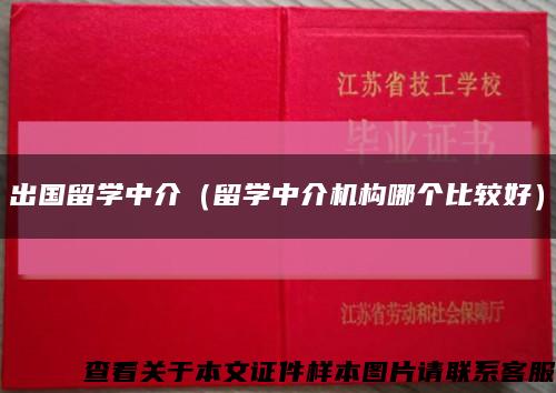 出国留学中介（留学中介机构哪个比较好）缩略图