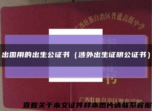 出国用的出生公证书（涉外出生证明公证书）缩略图