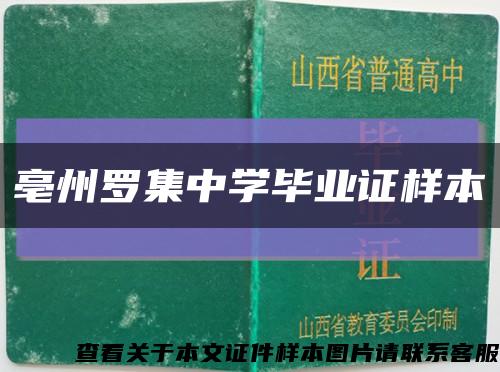 亳州罗集中学毕业证样本缩略图