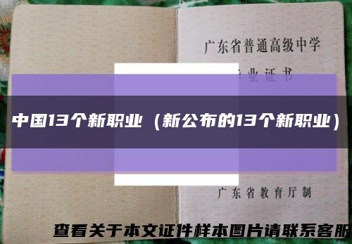 中国13个新职业（新公布的13个新职业）缩略图