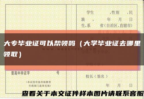 大专毕业证可以帮领吗（大学毕业证去哪里领取）缩略图