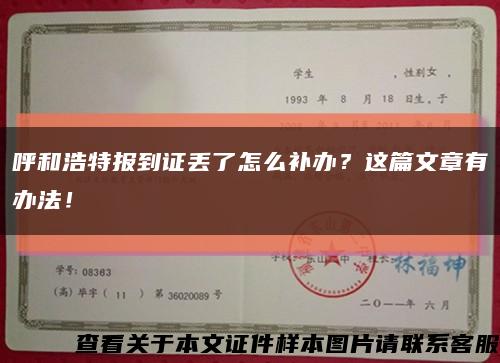 呼和浩特报到证丢了怎么补办？这篇文章有办法！缩略图