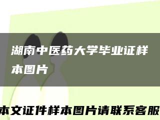 湖南中医药大学毕业证样本图片缩略图