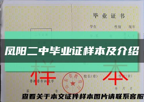 凤阳二中毕业证样本及介绍缩略图