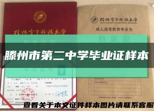 滕州市第二中学毕业证样本缩略图