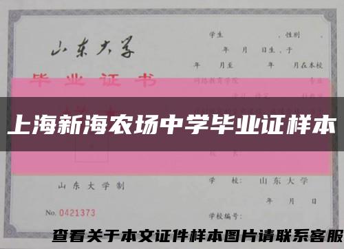 上海新海农场中学毕业证样本缩略图