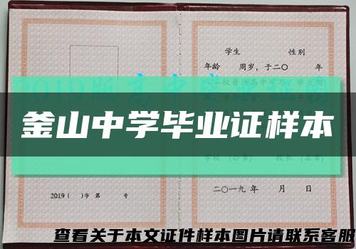 釜山中学毕业证样本缩略图