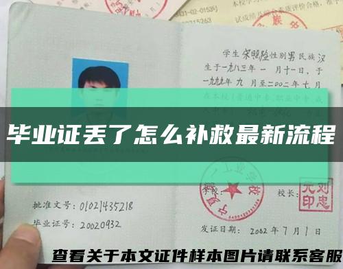 毕业证丢了怎么补救最新流程缩略图