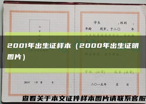 2001年出生证样本（2000年出生证明图片）缩略图