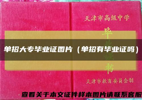 单招大专毕业证图片（单招有毕业证吗）缩略图