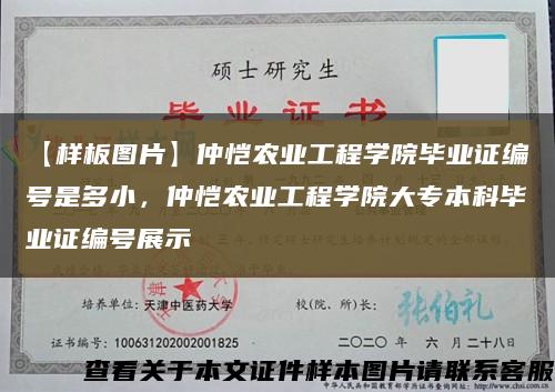 【样板图片】仲恺农业工程学院毕业证编号是多小，仲恺农业工程学院大专本科毕业证编号展示缩略图