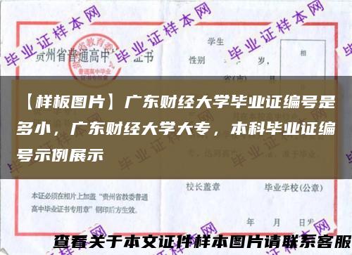 【样板图片】广东财经大学毕业证编号是多小，广东财经大学大专，本科毕业证编号示例展示缩略图