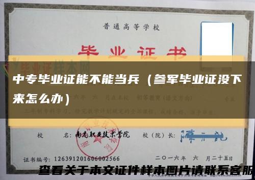 中专毕业证能不能当兵（参军毕业证没下来怎么办）缩略图