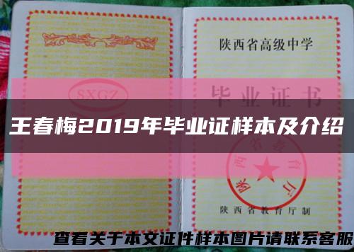 王春梅2019年毕业证样本及介绍缩略图