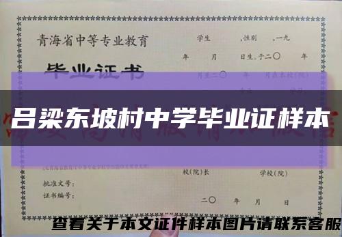 吕梁东坡村中学毕业证样本缩略图