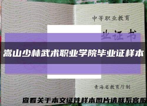 嵩山少林武术职业学院毕业证样本缩略图