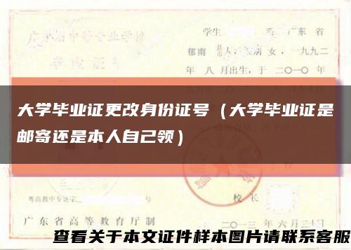 大学毕业证更改身份证号（大学毕业证是邮寄还是本人自己领）缩略图