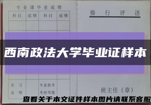 西南政法大学毕业证样本缩略图