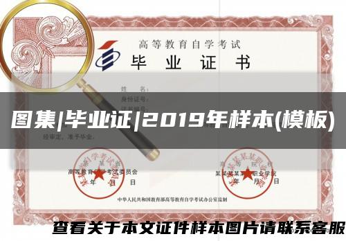 图集|毕业证|2019年样本(模板)缩略图