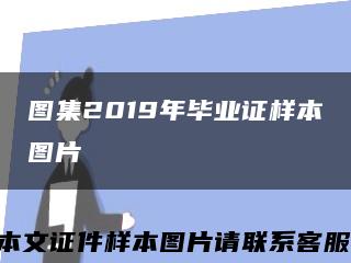 图集2019年毕业证样本图片缩略图