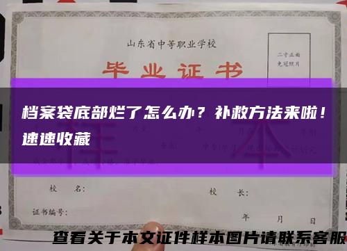 档案袋底部烂了怎么办？补救方法来啦！速速收藏缩略图