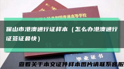 保山市港澳通行证样本（怎么办港澳通行证签证最快）缩略图