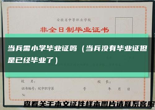 当兵需小学毕业证吗（当兵没有毕业证但是已经毕业了）缩略图