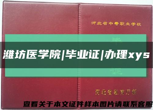 潍坊医学院|毕业证|办理xys缩略图