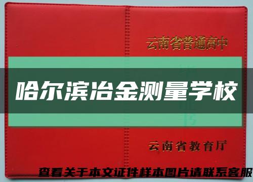 哈尔滨冶金测量学校缩略图