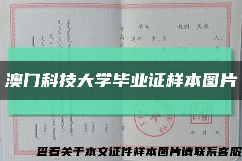 澳门科技大学毕业证样本图片缩略图