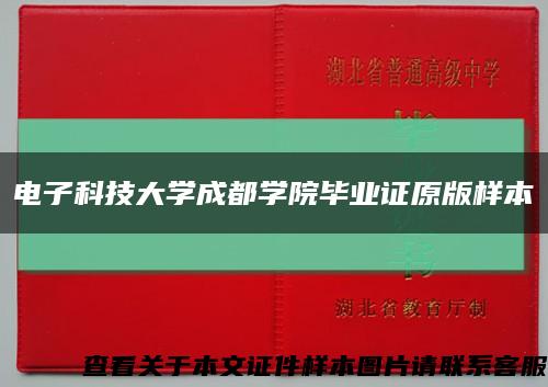 电子科技大学成都学院毕业证原版样本缩略图