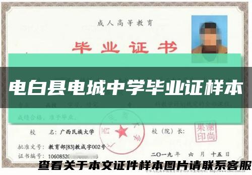 电白县电城中学毕业证样本缩略图