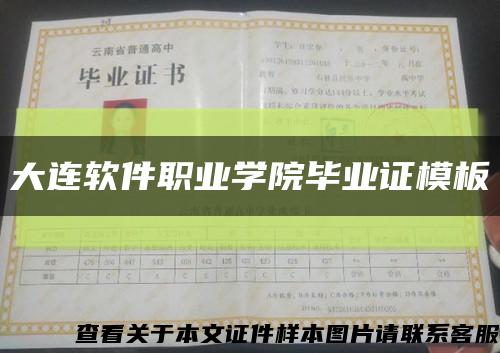 大连软件职业学院毕业证模板{样本}缩略图