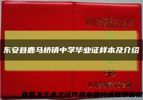 东安县鹿马桥镇中学毕业证样本及介绍缩略图