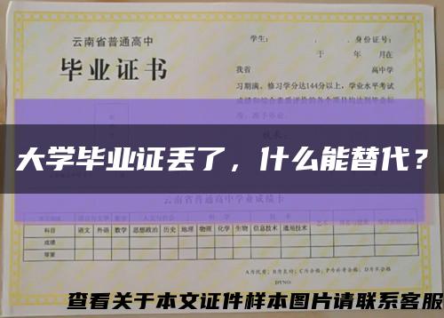 大学毕业证丢了，什么能替代？缩略图