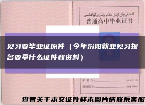 见习要毕业证原件（今年汾阳就业见习报名要拿什么证件和资料）缩略图