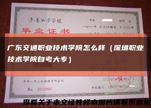 广东交通职业技术学院怎么样（深圳职业技术学院自考大专）缩略图