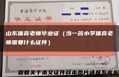 山东体育老师毕业证（当一名小学体育老师需要什么证件）缩略图