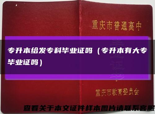 专升本给发专科毕业证吗（专升本有大专毕业证吗）缩略图