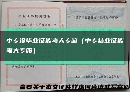 中专没毕业证能考大专嘛（中专结业证能考大专吗）缩略图