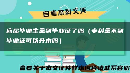 应届毕业生拿到毕业证了吗（专科拿不到毕业证可以升本吗）缩略图