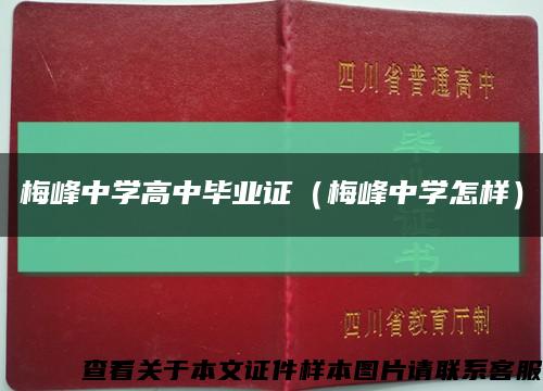 梅峰中学高中毕业证（梅峰中学怎样）缩略图