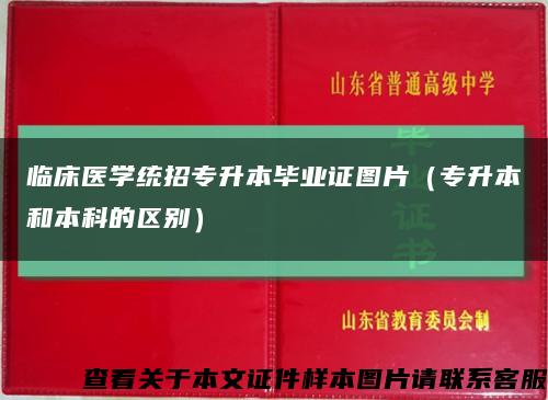 临床医学统招专升本毕业证图片（专升本和本科的区别）缩略图