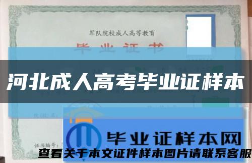 河北成人高考毕业证样本缩略图