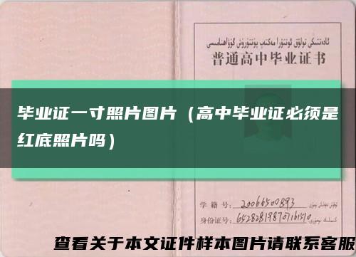 毕业证一寸照片图片（高中毕业证必须是红底照片吗）缩略图